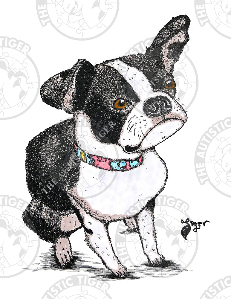 Art Print - M1 - Boston Terrier - Pet Portrait