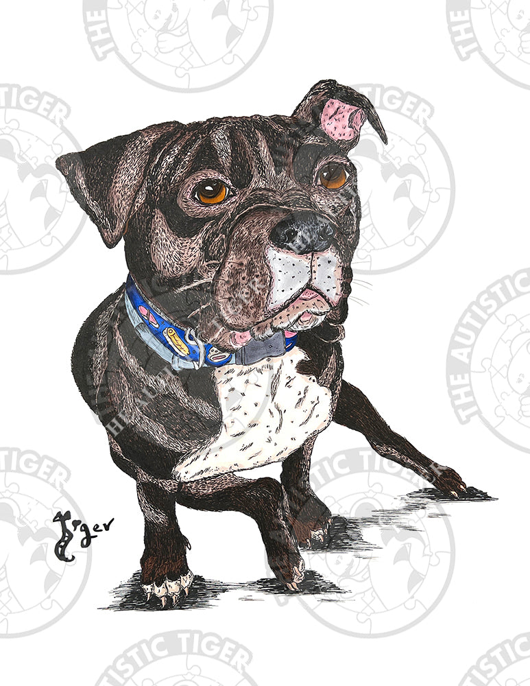 Art Print - N65 Pit Bull - Pet Portrait