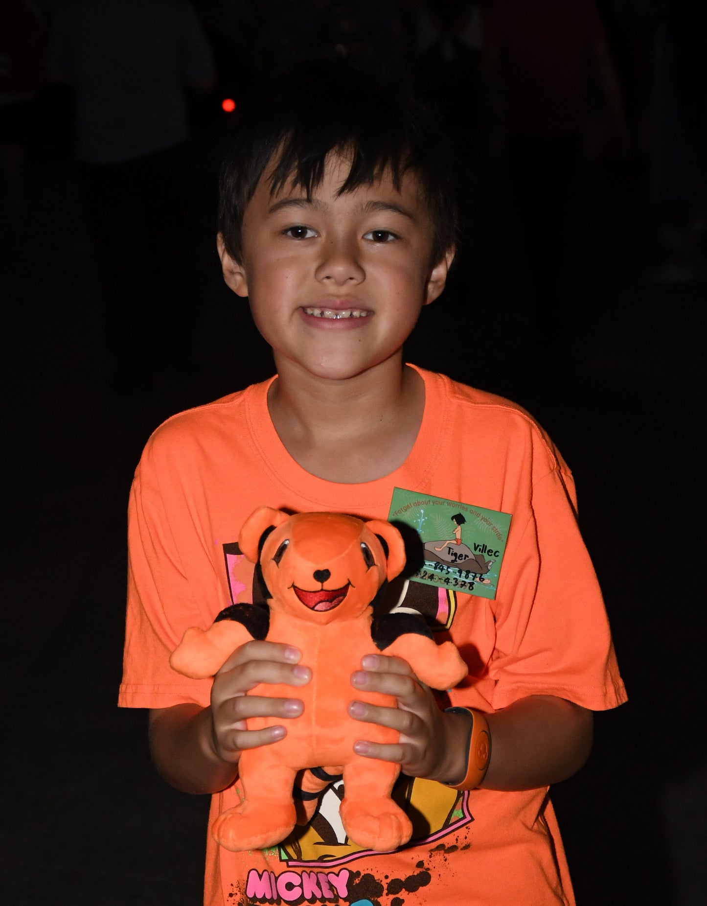 The Autistic Tiger ORIGINAL Doll Plushie