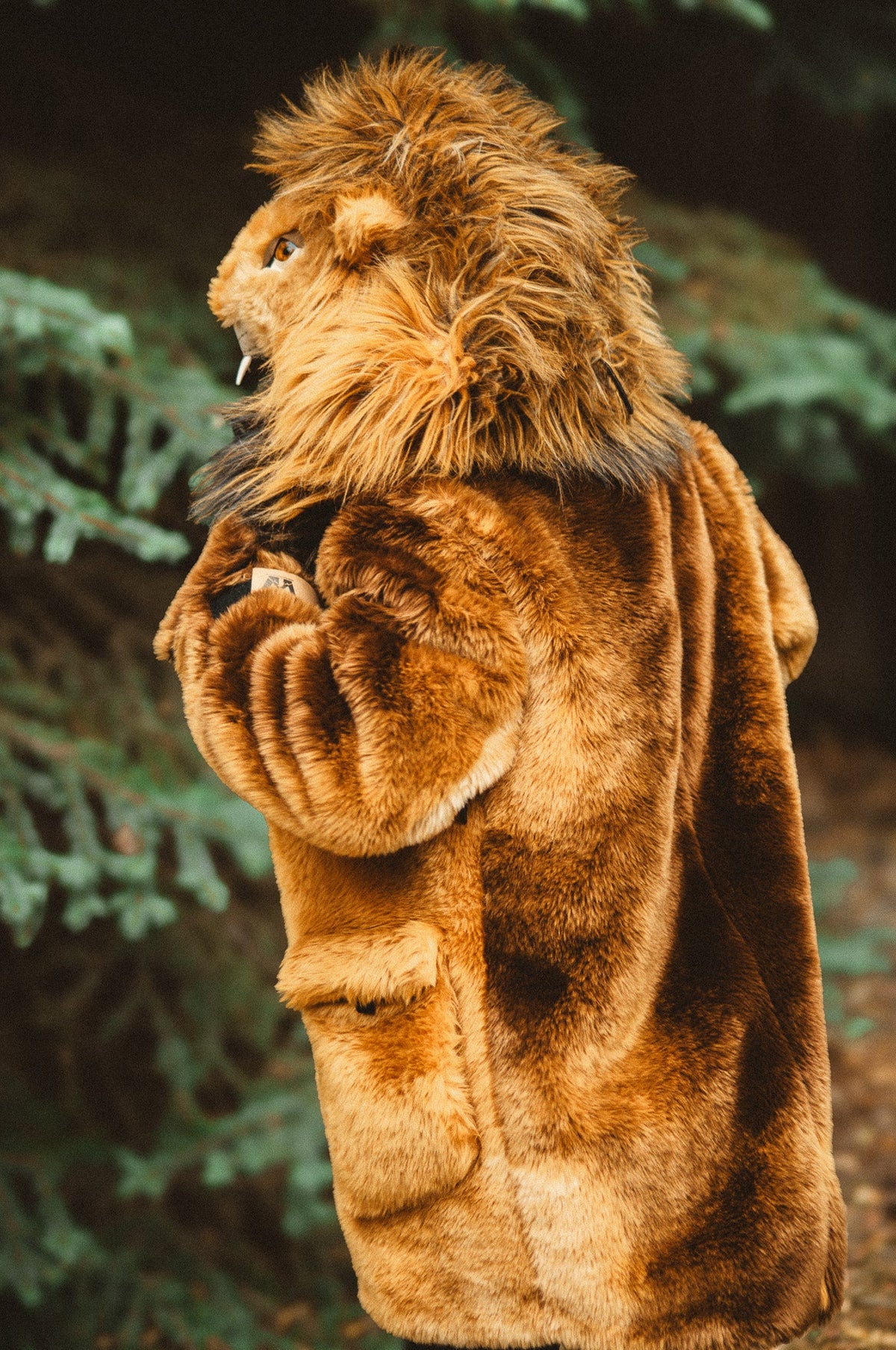THE LION COAT, v6