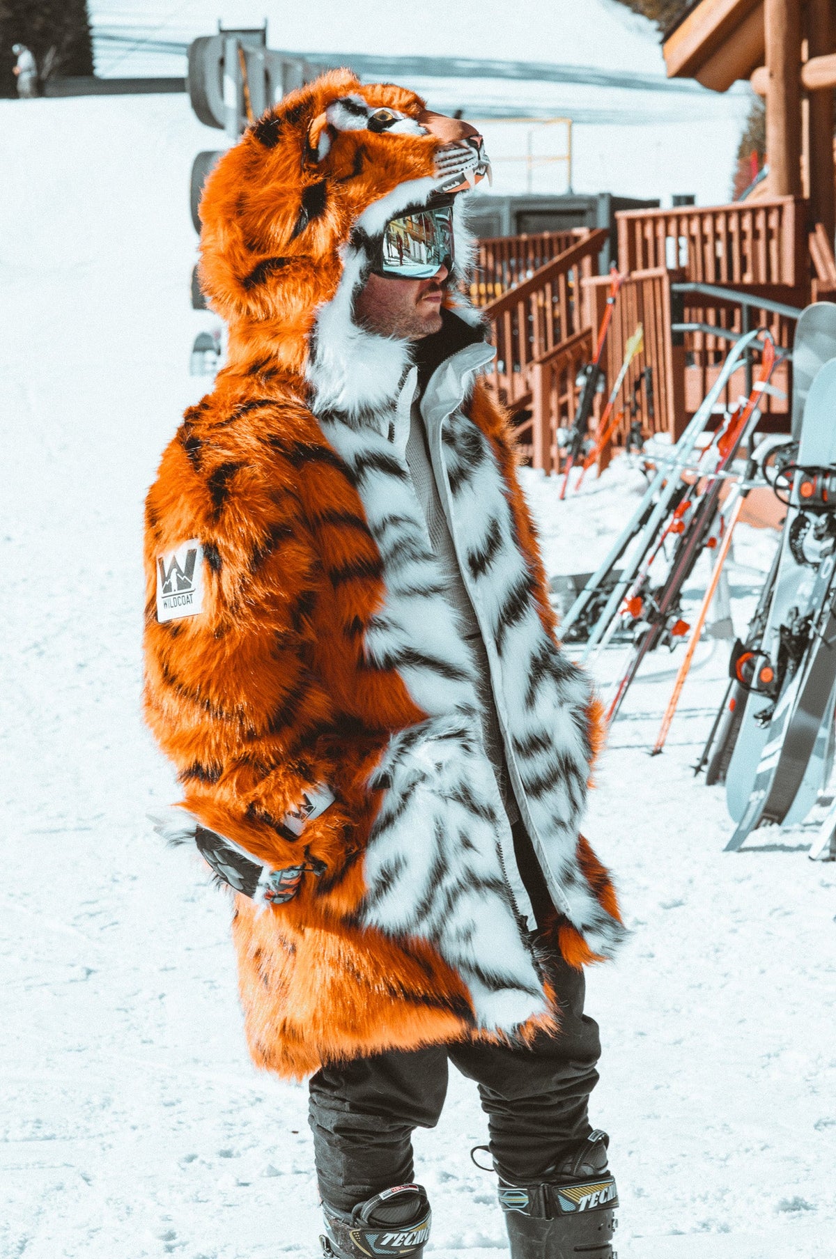 THE TIGER COAT, v5