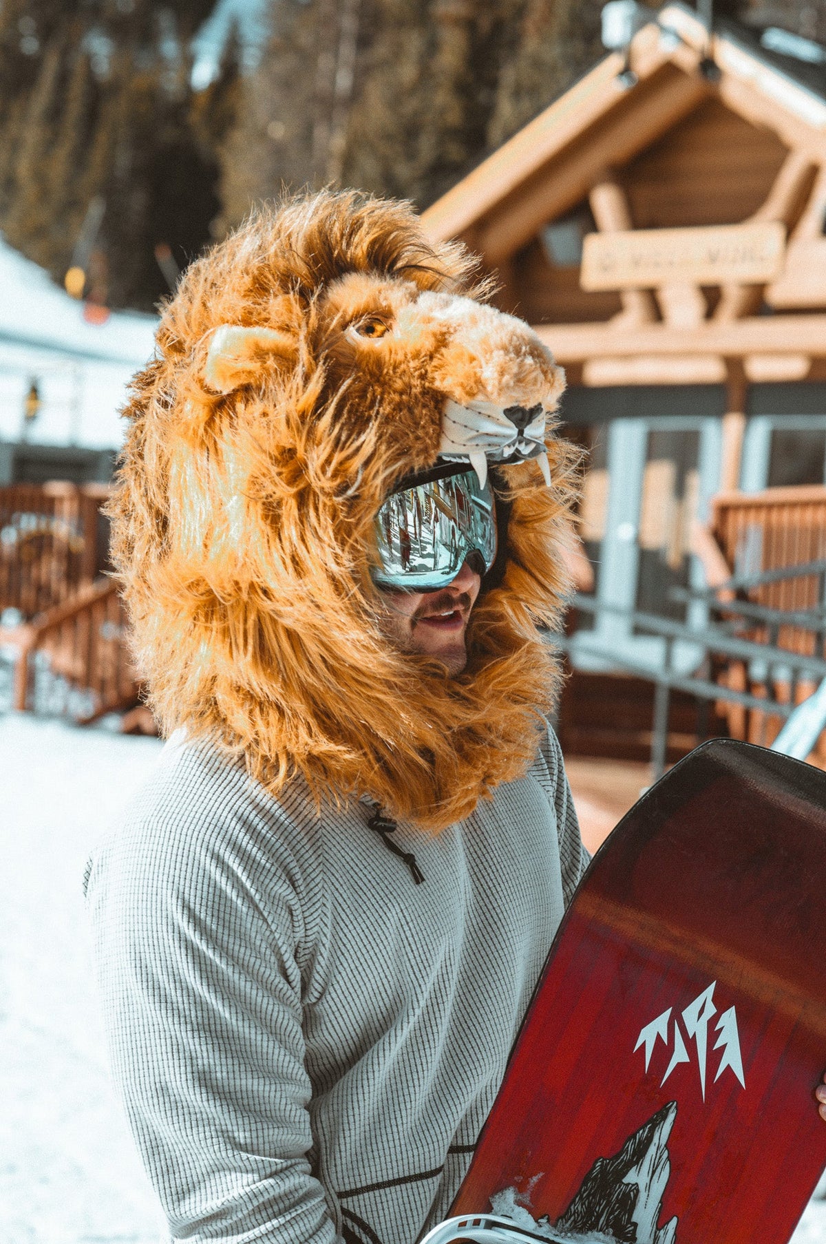 THE LION COAT, v6