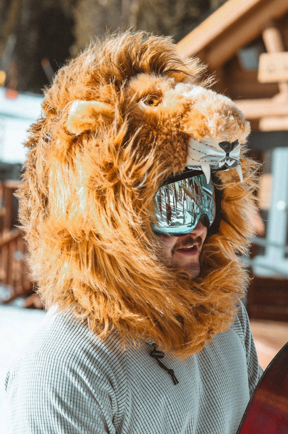 THE LION HOOD, v6