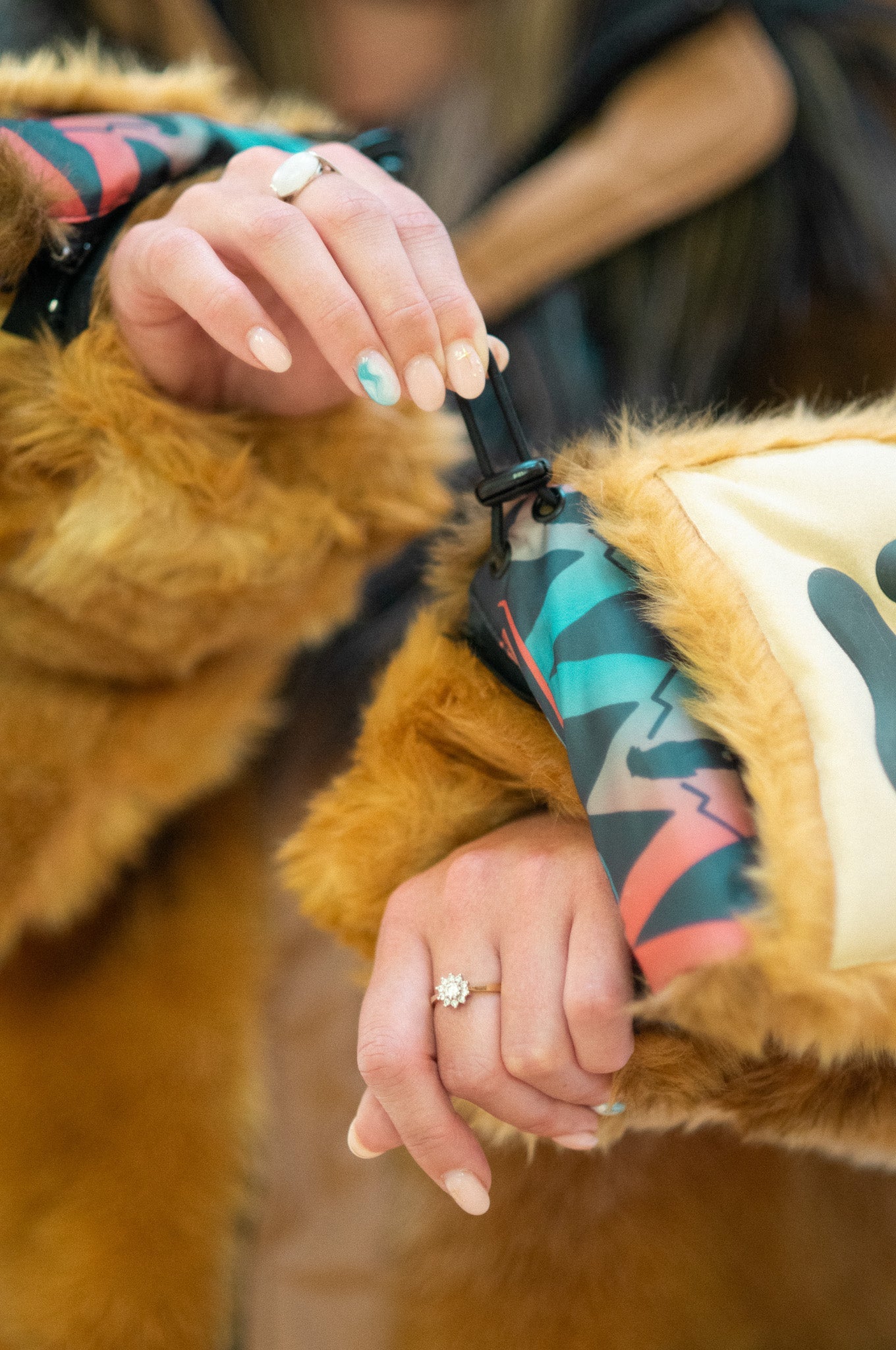 THE LION COAT, v6
