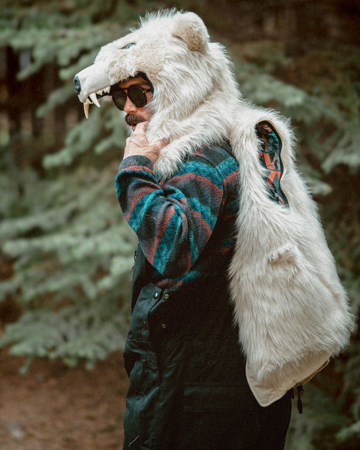 The Polar Bomber, v6