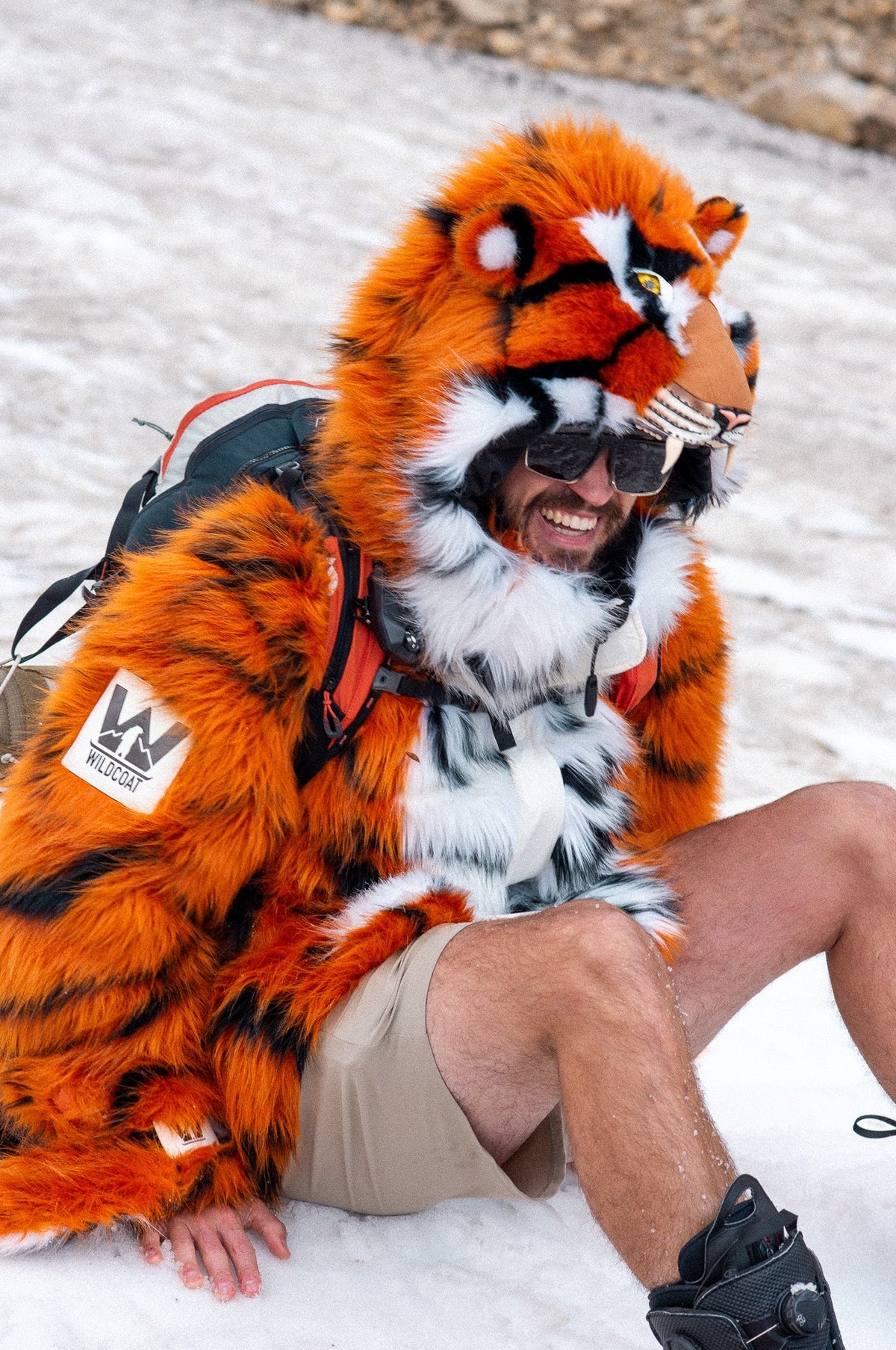THE TIGER COAT, v5