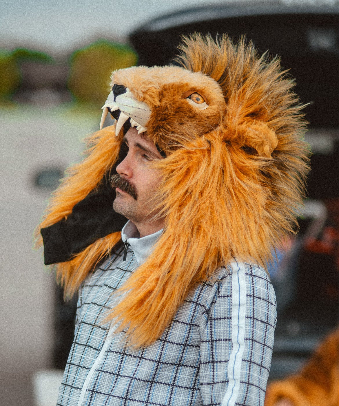 THE LION HOOD, v6