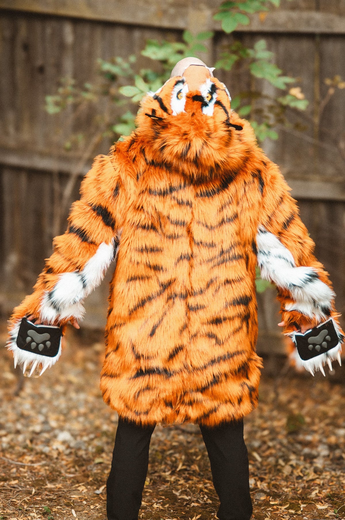 THE TIGER COAT, v5
