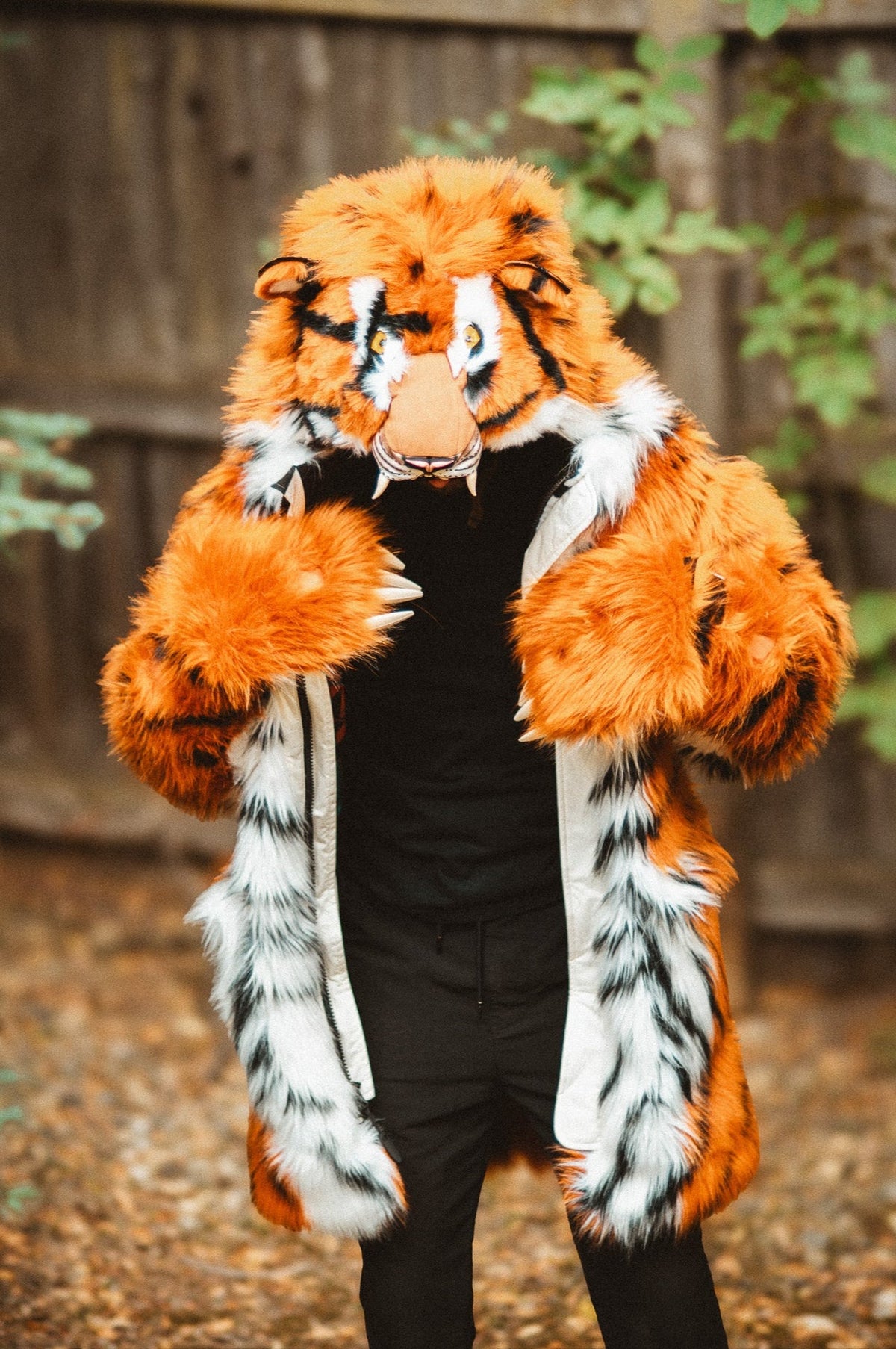 THE TIGER COAT, v5
