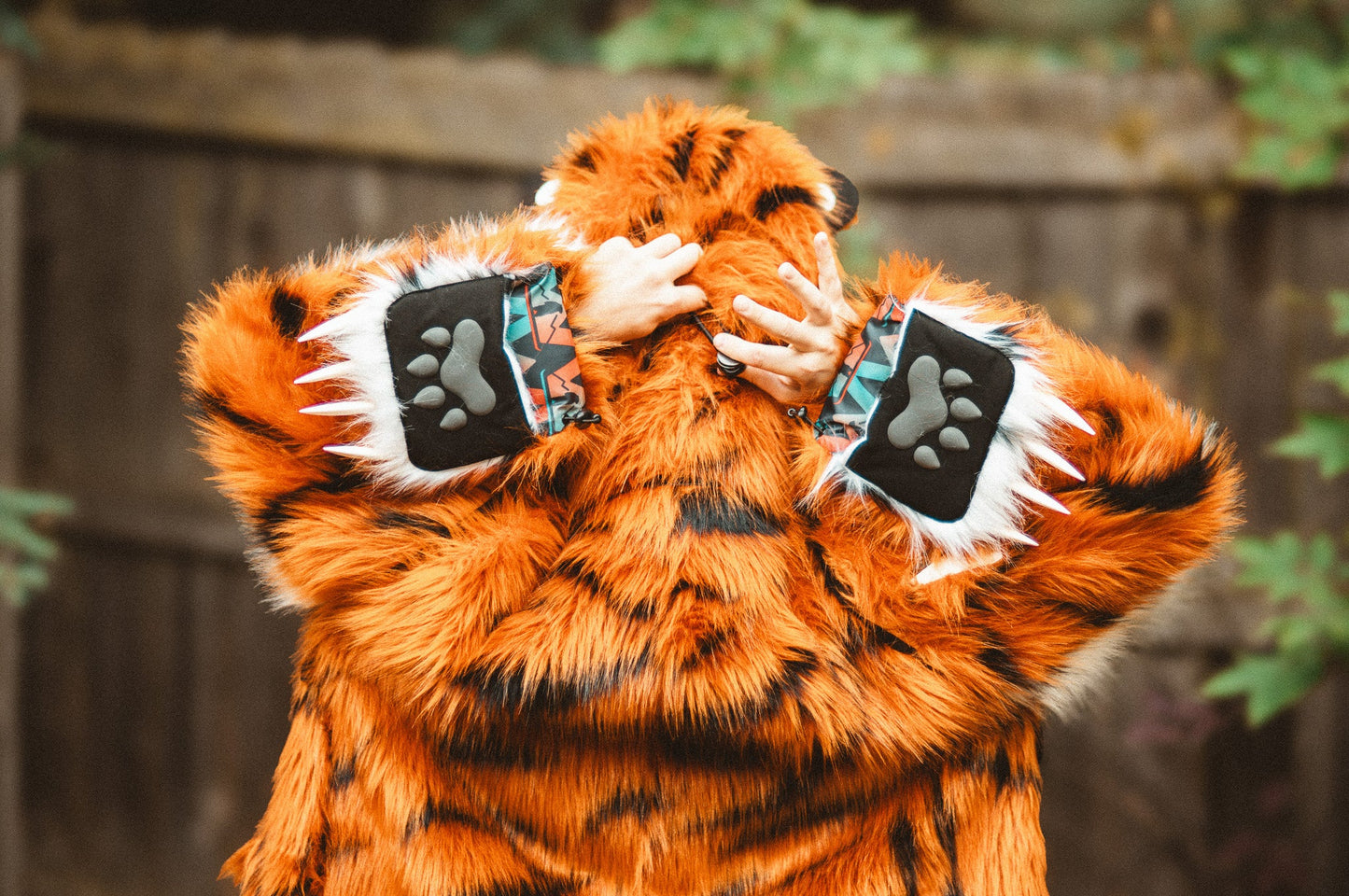 THE TIGER COAT, v5