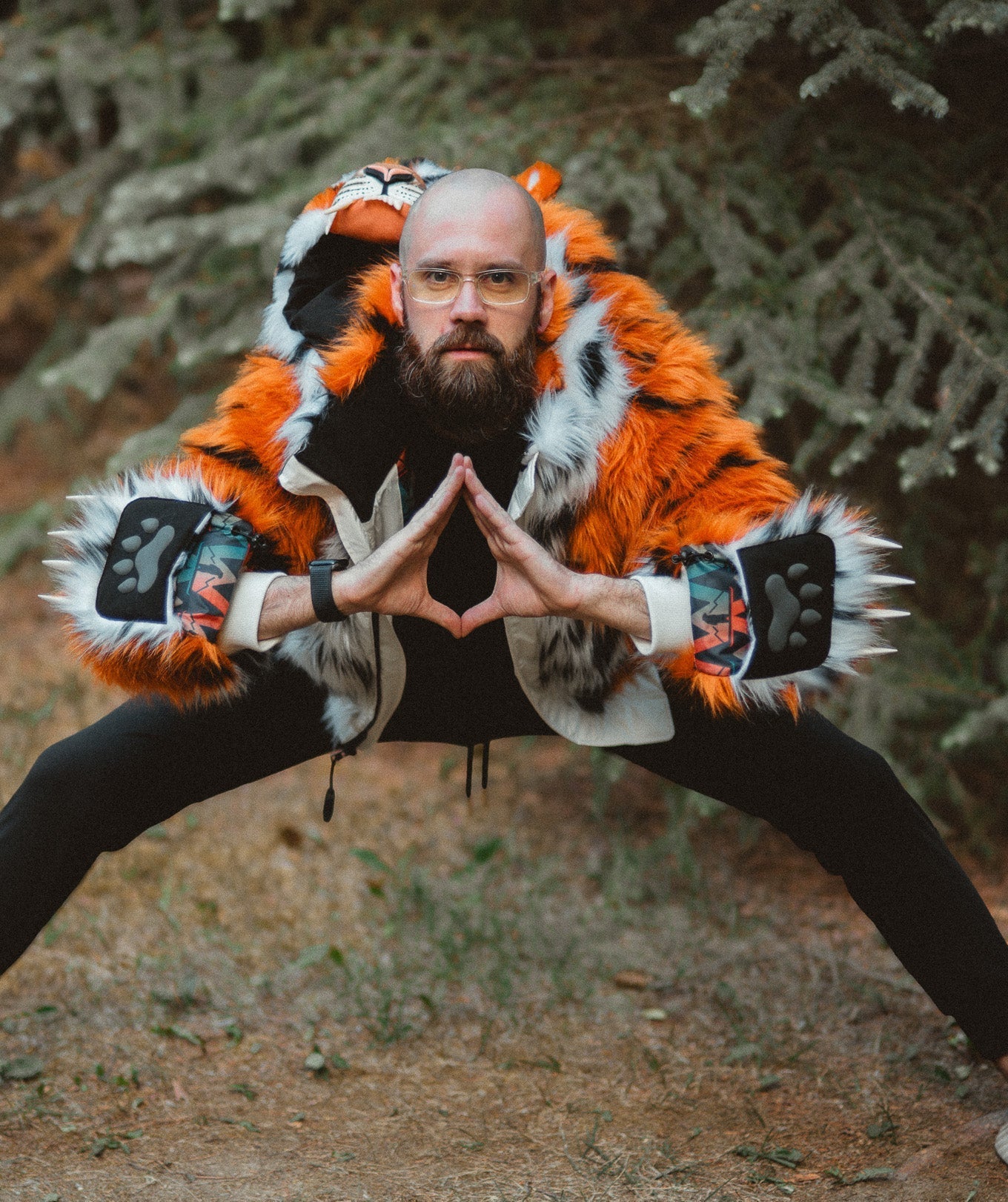 The Tiger Bomber, v6