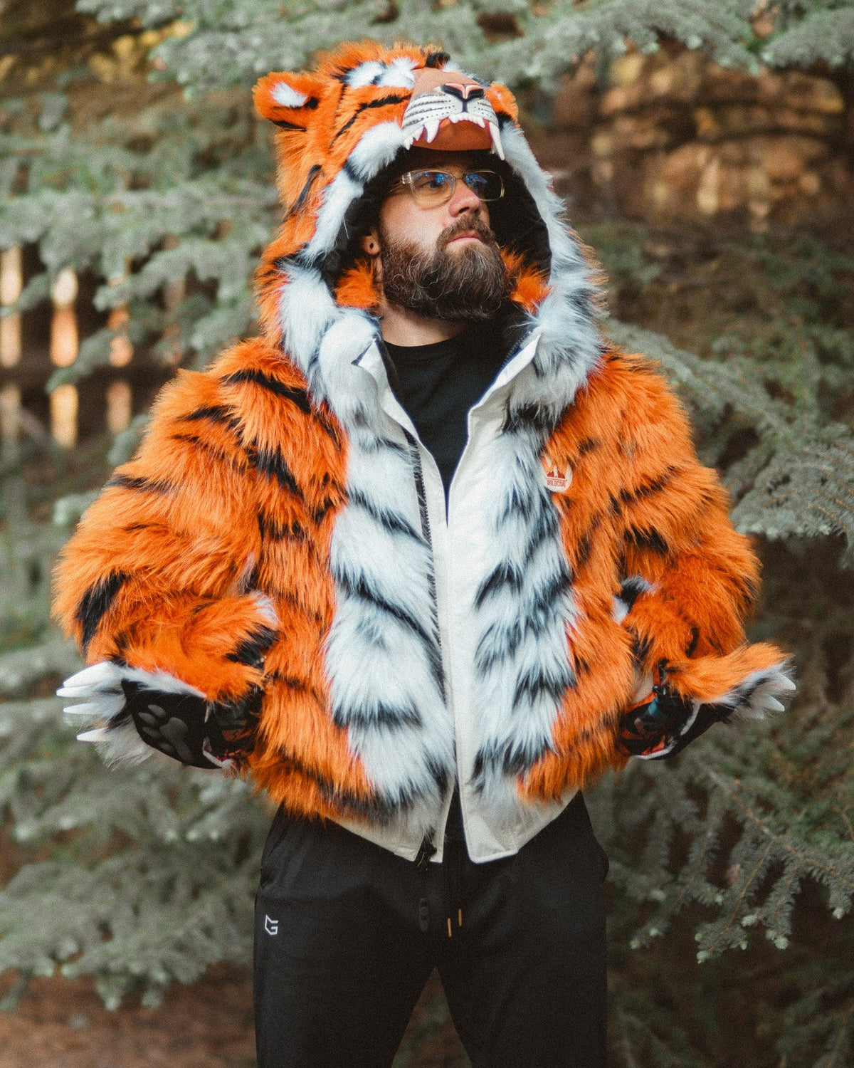 The Tiger Bomber, v6