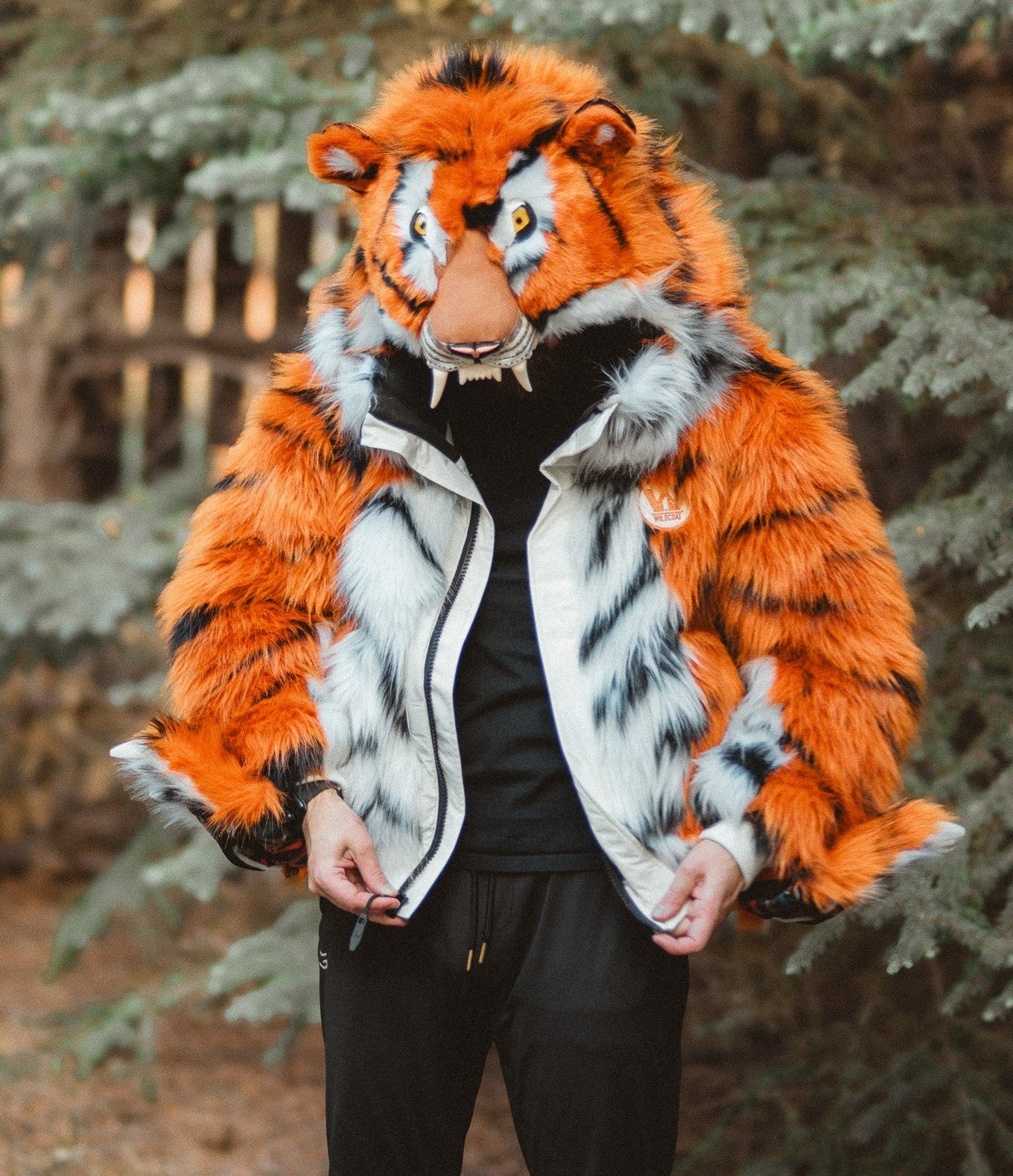 The Tiger Bomber, v6