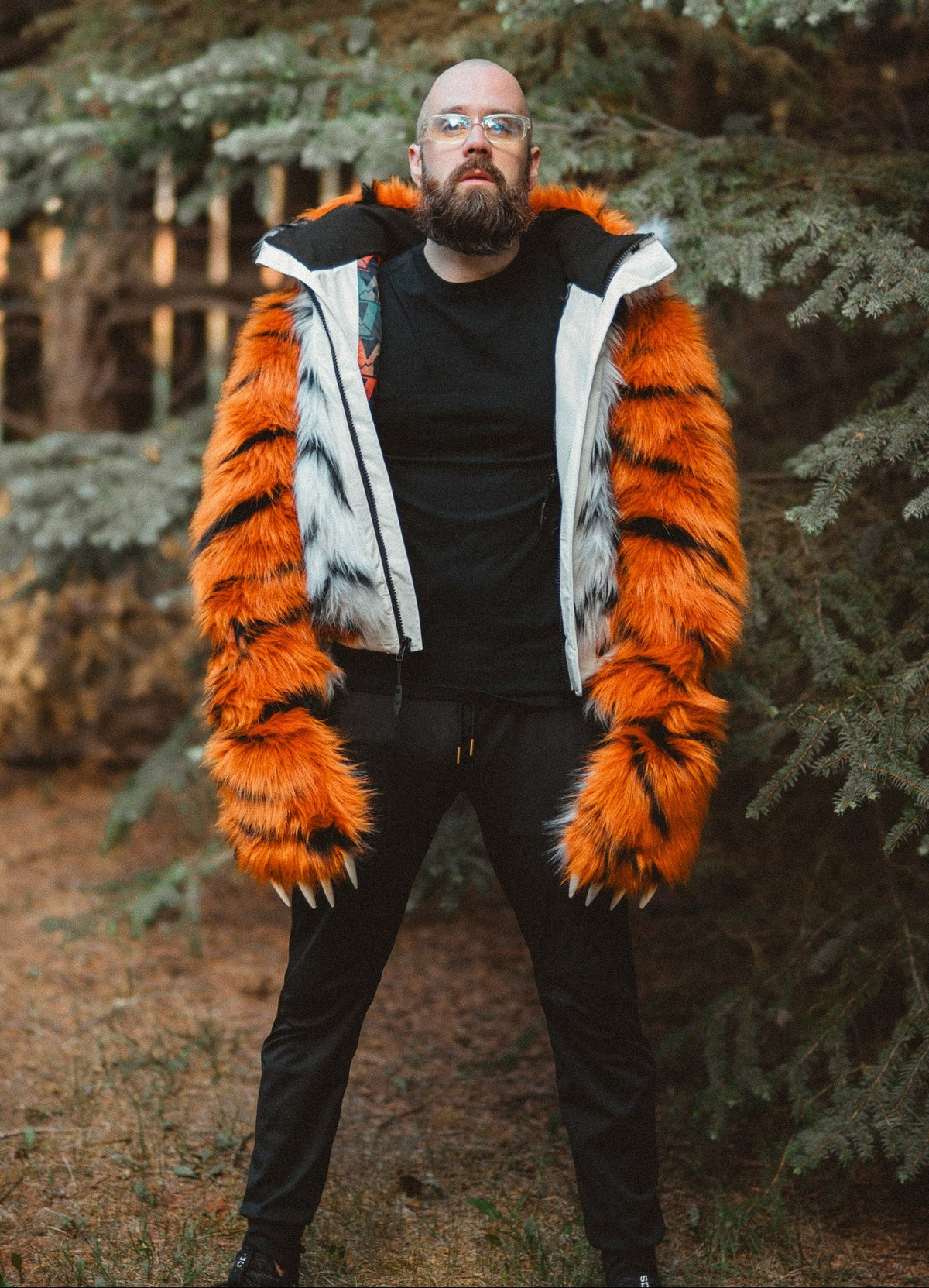 The Tiger Bomber, v6