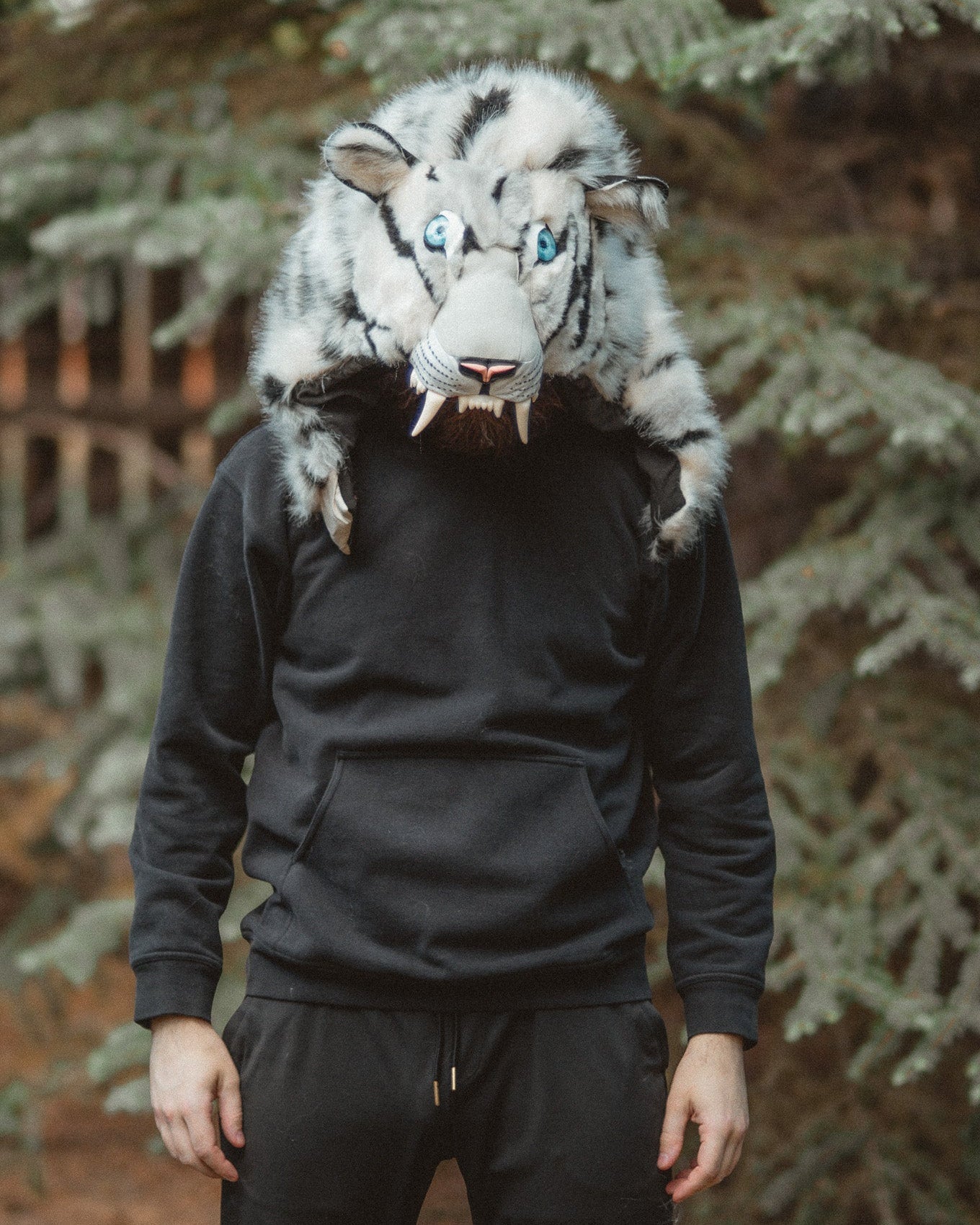 THE WHITE TIGER HOOD, v6