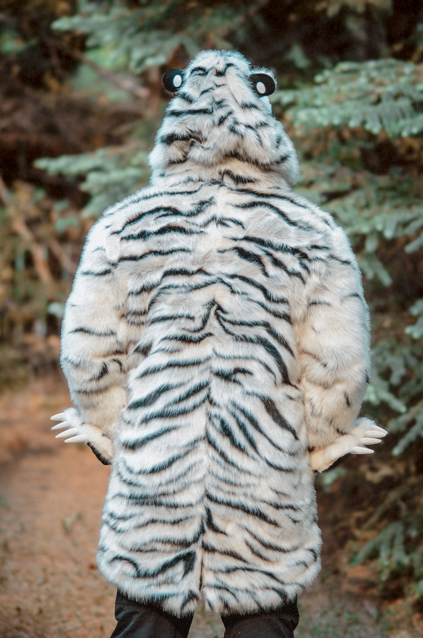 THE WHITE TIGER COAT, v6